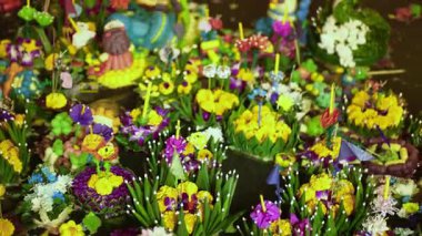 Tayland 'daki Loy Krathong festivali sırasında suda yüzen Krathonglar gece mum ışıklarını güzel yansıtıyorlar, kirli su, kutlamalardan sonra çevresel atıkları yansıtıyorlar.