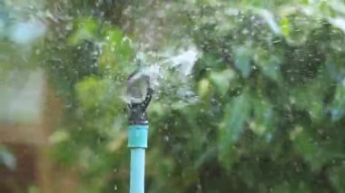 Dönen bahçe fıskiyeleri sürekli su püskürtüyor, sulamayı ve sürdürülebilir tarımı temsil ediyor.