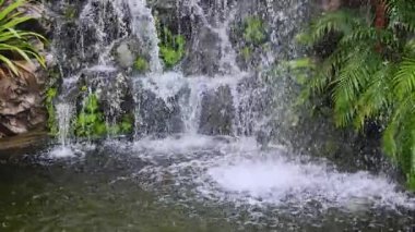 Bahçe Şelalesi, yosunların üzerinden akan doğal şelale yemyeşil bitkilerle kaplı kayaları kaplayarak ferahlatıcı ve rahatlatıcı bir atmosfer yaratır. Seyahat, doğa ve spa görüntüleri için ideal.