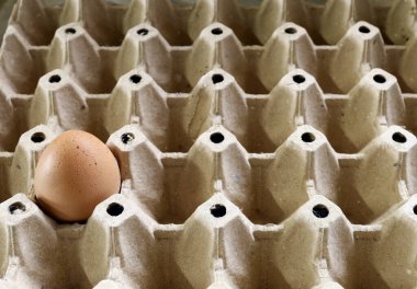 Tavuk yumurtaları, boş bir karton yumurta kutusuna yerleştirilmiş tek kahverengi yumurta eşsizliği, minimalizmi, yemek malzemelerini ve mutfaktaki seçici seçimi sembolize ediyor.