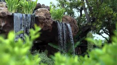 Verimli bir bahçede kayaların üzerinden akan yapay şelale. Yeşil bitkiler ve doğal ortam ile Bahçe Şelalesi doğa ve rahatlama temaları için huzurlu, ferahlatıcı bir açık hava sahnesi oluşturur