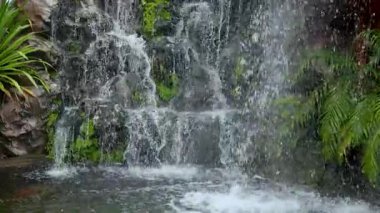 Bahçe Şelalesi, yosunların üzerinden akan doğal şelale yemyeşil bitkilerle kaplı kayaları kaplayarak ferahlatıcı ve rahatlatıcı bir atmosfer yaratır. Seyahat, doğa ve spa görüntüleri için ideal.