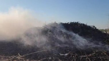 Açık bir tarım alanında kuru yaprak ve dalların yanmasından çıkan büyük miktarlarda duman. Duman gökyüzüne yükseliyor, atık yönetimi uygulamalarını, açık alan yangınlarını, hava kirliliği sorunlarını yansıtıyor
