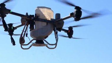 Tarımsal İHA 'lar, tarımsal İHA' lar havaya pirinç tohumları ekiyor, tarım verimliliğini artırıyor ve emeği azaltıyor, akıllı tarım, modern tarım ve yenilikçi teknolojiyi temsil ediyor.