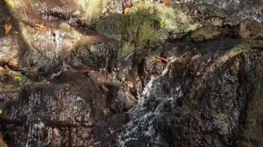 Küçük şelale yosun kaplı kayaların üzerinden akar, ferahlatıcı bir doğal atmosfer yaratır, sükuneti, rahatlamayı, ekosistemi ve doğanın gücünü sembolize eder.