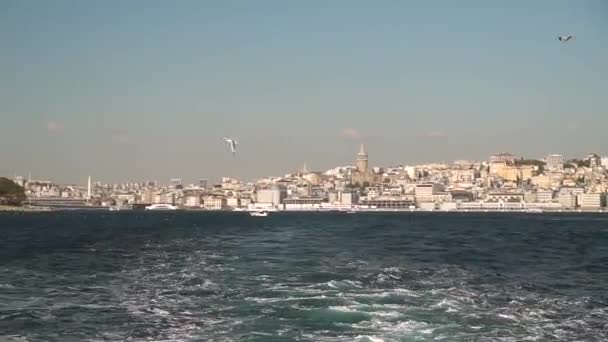 Miejski krajobraz Istambułu ze statku przepływającego przez Bosfor, mewy podążają za łodzią — Wideo stockowe