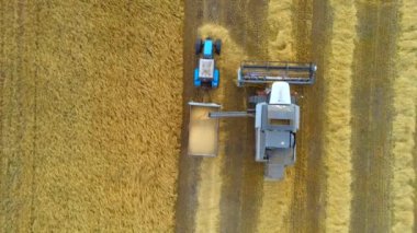 Buğday tarlasında hasat Birleştirici ve Çekici Tarım Makineleri