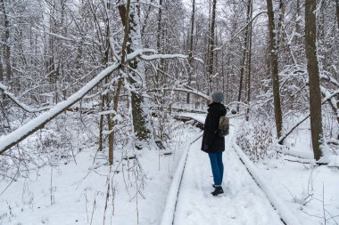 Kadın gezgin, kış ormanlarında karla yürüyor.