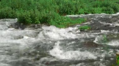 Dağlardaki bahar nehri. Dağ alp çayırları arasında manzaralı kırsal alan