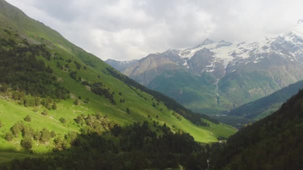 Vue Aérienne Par Drone Vol au-dessus De La Forêt De Pins En Montagne Au Coucher Du Soleil — Video