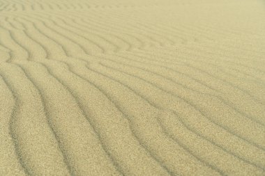 Çölde kumdaki dalgalanmaların dokusu. Doğa arkaplanı