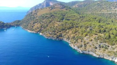 Türkiye kıyılarında Akdeniz ağaçlarının bulunduğu kayalık kıyı şeridinin havadan görünüşü. İnsansız hava aracı görüntüleri