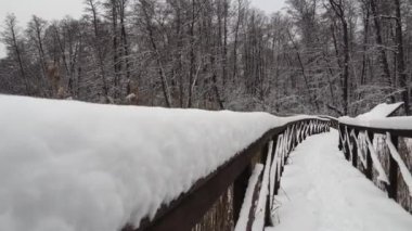 Derin Bakire Kar ve Tahta Yol ile Kış Ormanı Karlı Sahnesi