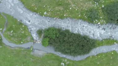 Taştan kıyıları ve ormanı olan dağ nehri.