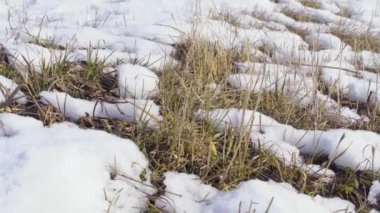 Tarlada eriyen kar. Bahar geldi.