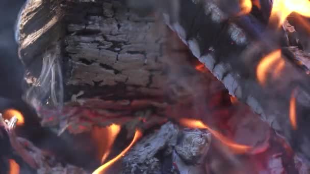 Api unggun yang membakar dengan kayu bakar untuk berkemah di alam liar. — Stok Video