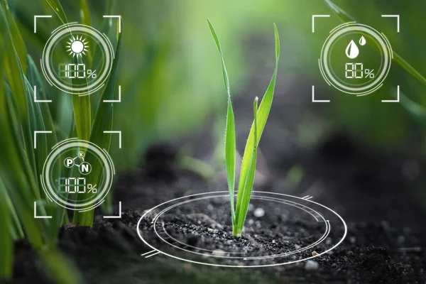 Modern ve akıllı tarımsal çekim, genç filizlenme alanlarında büyüyen teknolojik tarım ikonları