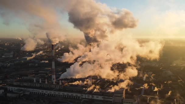 Zona Industrial Com Grande Tubo Chaminé Espessa Fumaça Branca Derramada — Vídeo de Stock