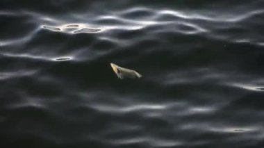 Plastik çöpler yavaşça suda sürüklenir. Denizlerdeki ve okyanuslardaki atık çevre kirliliği sorunu.