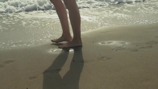 Piernas Mujer Caminando Playa Arena Largo Del Mar Día Soleado — Vídeo de stock