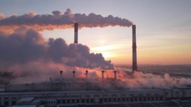 Sigara fabrikası bacaları. Çevresel çevre kirliliği sorunu büyük şehirlerde. Sigara içilen büyük bitkinin görüntüsü