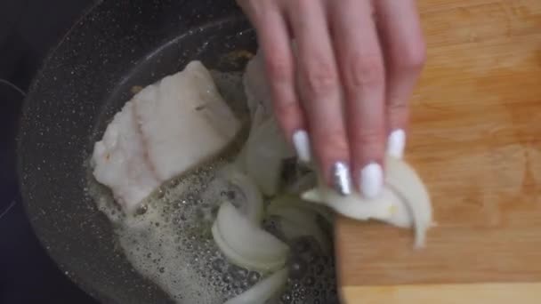 Add Fresh Onion Fillet Sea Cod Fis Fried Frying Pan — Stock Video