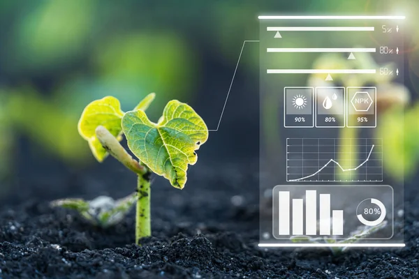 Inteligentní Farmářská Technologie Monitorování Růstu Rašelinišť Designovou Infografikou Inovační Technologie — Stock fotografie