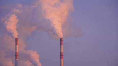 Sigara fabrikası bacaları. Çevresel çevre ve hava kirliliği sorunu. Sanayi boruları atmosferi dumanla kirletiyor