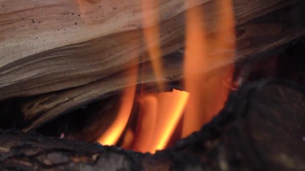 성냥이 타고, 막대기와 석탄이 불에 타고 — 비디오