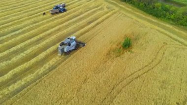 Buğdayı hasat etmek için tarlada çalışan bir biçerdöver üzerinde hava manzarası.