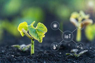Endüstriyel tarımın interneti, gelecekteki ikondaki çeşitli tarım teknolojileri. Plant filizlenen tasarım bilgisinin tespiti ve kontrol sistemi için akıllı tarım teknolojisi