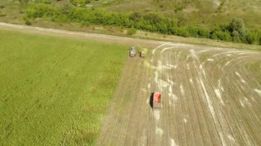 Kamyon römorklarına mısır yükleyen modern hasat makinesinin hava görüntüsü. Hasat Edilmiş Mısırı Ekin İçin Birleştir