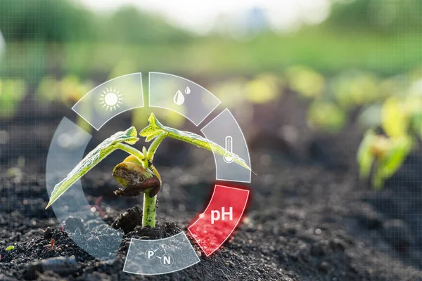 Smart farm technology for detection and control system of Plant sprout growing with red alert icon of pH. Innovation technology for agriculture 4.0