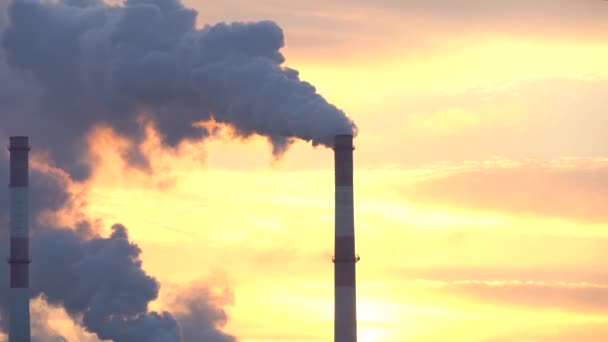 Roken Industriële Zone Fabrieksschoorstenen Milieuprobleem Van Vervuiling Van Milieu Lucht — Stockvideo