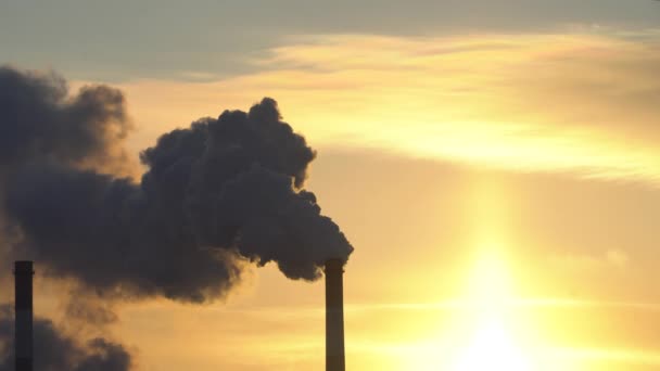 Emissione Atmosfera Tubi Industriali Tubi Fumi Zona Industriale Concetto Riscaldamento — Video Stock