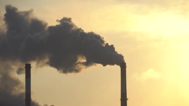 Rookfabriekschoorstenen Milieuprobleem Van Milieu Luchtverontreiniging Grote Steden Klimaatverandering Ecologie Opwarming — Stockvideo