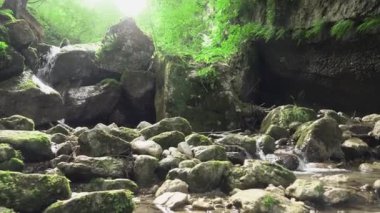 Ormandaki gür çalılıkların arasında güzel dağ dereleri çağlayan manzara manzarası. Küçük nehri olan Idyllic yeşil manzarası