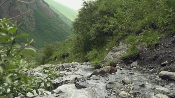 Arroyo de montaña entre rocas y matorrales en bosque de montaña — Vídeo de stock