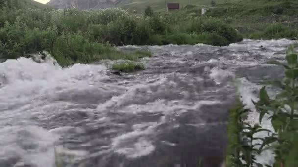 野生の山の春の川 豊富なストリームクリーク 水を素早く噴き出す岩 — ストック動画