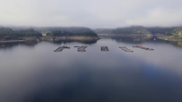 Fischindustrie und Forellenzucht mit Kreiskäfigen im Bergsee — Stockvideo