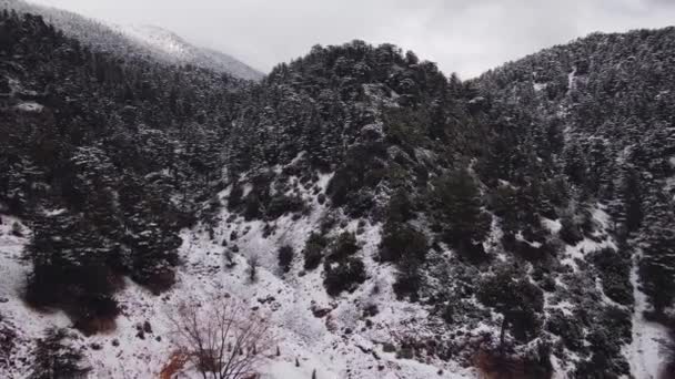 Vista aérea da floresta em uma montanha nevada — Vídeo de Stock