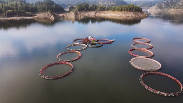 Αεροφωτογραφία ιχθυοτροφείου με πολλά καταλύματα ψαριών σε κλωβούς — Αρχείο Βίντεο