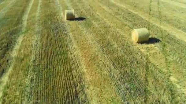 Paisaje de la cosecha: Hay Bale — Vídeos de Stock
