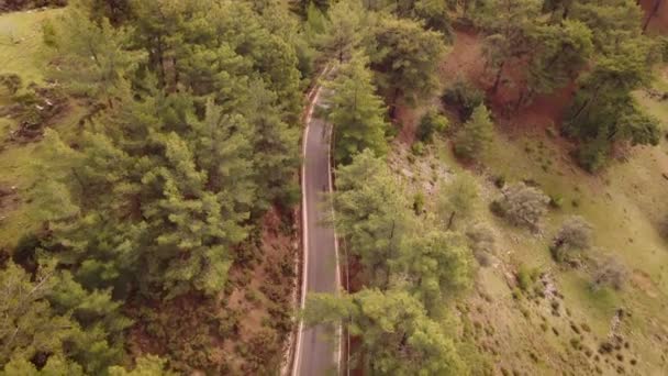 Bovenaanzicht vanuit de lucht op de asfaltweg in bergen met groene pijnbomen — Stockvideo