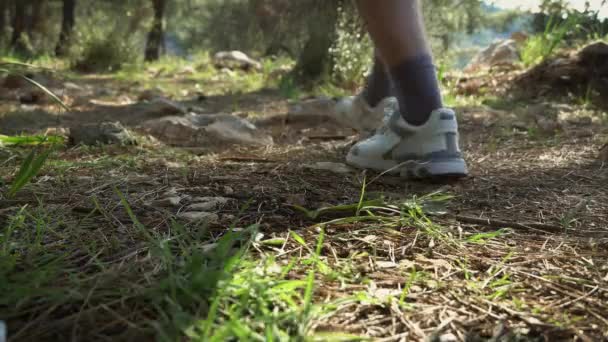 Caminante en las montañas del bosque. Turismo en las montañas en verano — Vídeos de Stock