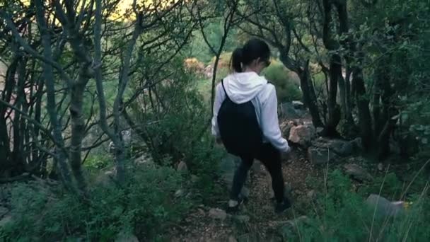 Mujer senderista en las montañas rocosas — Vídeo de stock