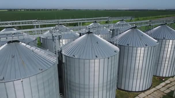 Elevador de grãos na zona agrícola — Vídeo de Stock