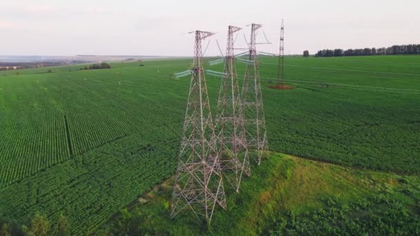 Linha Transmissão Energia Alta Tensão Para Transporte Electricidade Central Eléctrica — Vídeo de Stock