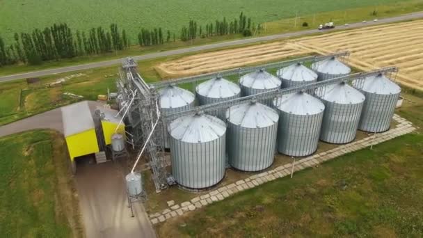 Silo Metálico Grande Para Almacenar Grano Moderna Planta Industrial Granero — Vídeos de Stock