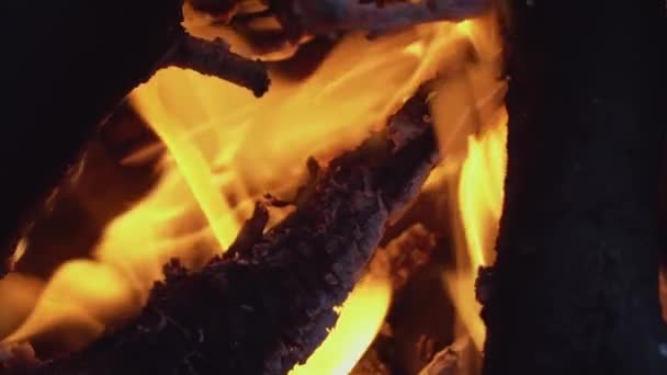 Brennendes Lagerfeuer Flamme Brennholz Der Nacht Holz Feuer Hacken — Stockvideo